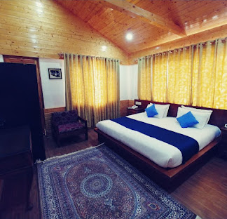 Hotel Kashmir Inn img